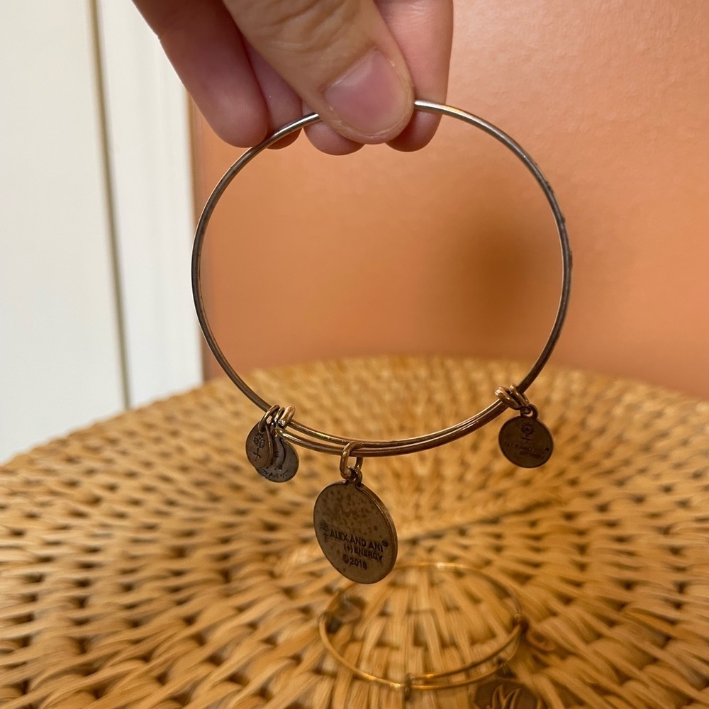 Alex & Ani “M” Initial Expandable Bangles Set of 2 - Picture 3 of 5